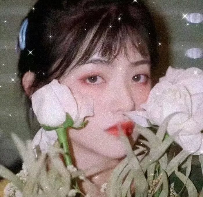 大厨小婿